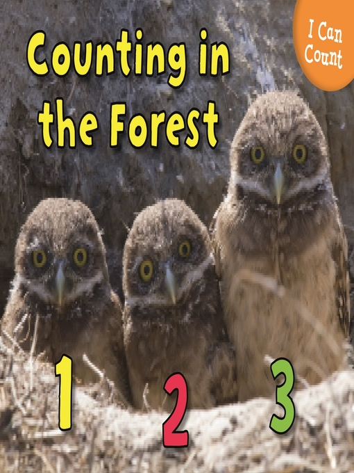 Cover image for Counting in the Forest